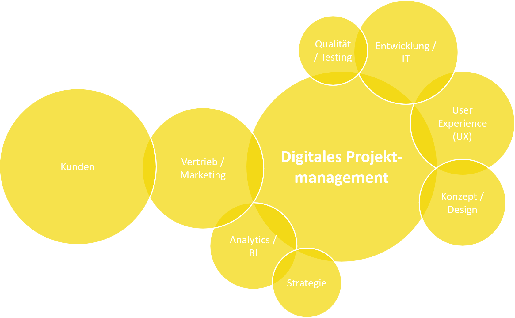 Digitales Projektmanagement
